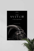 EVIL TAKES MANY FORMS | THE WITCH | Horror Movie Poster
