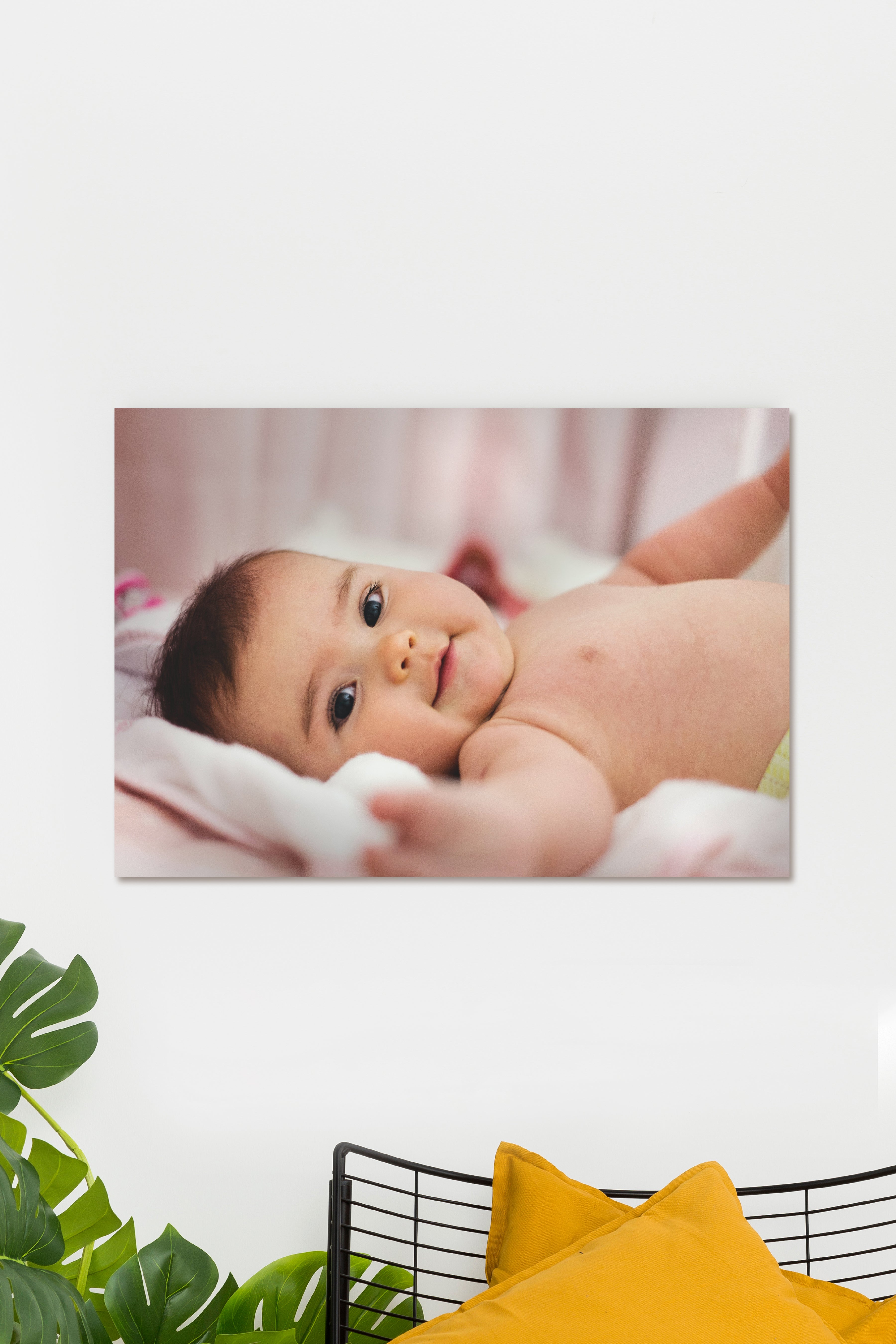 Cute Born Baby