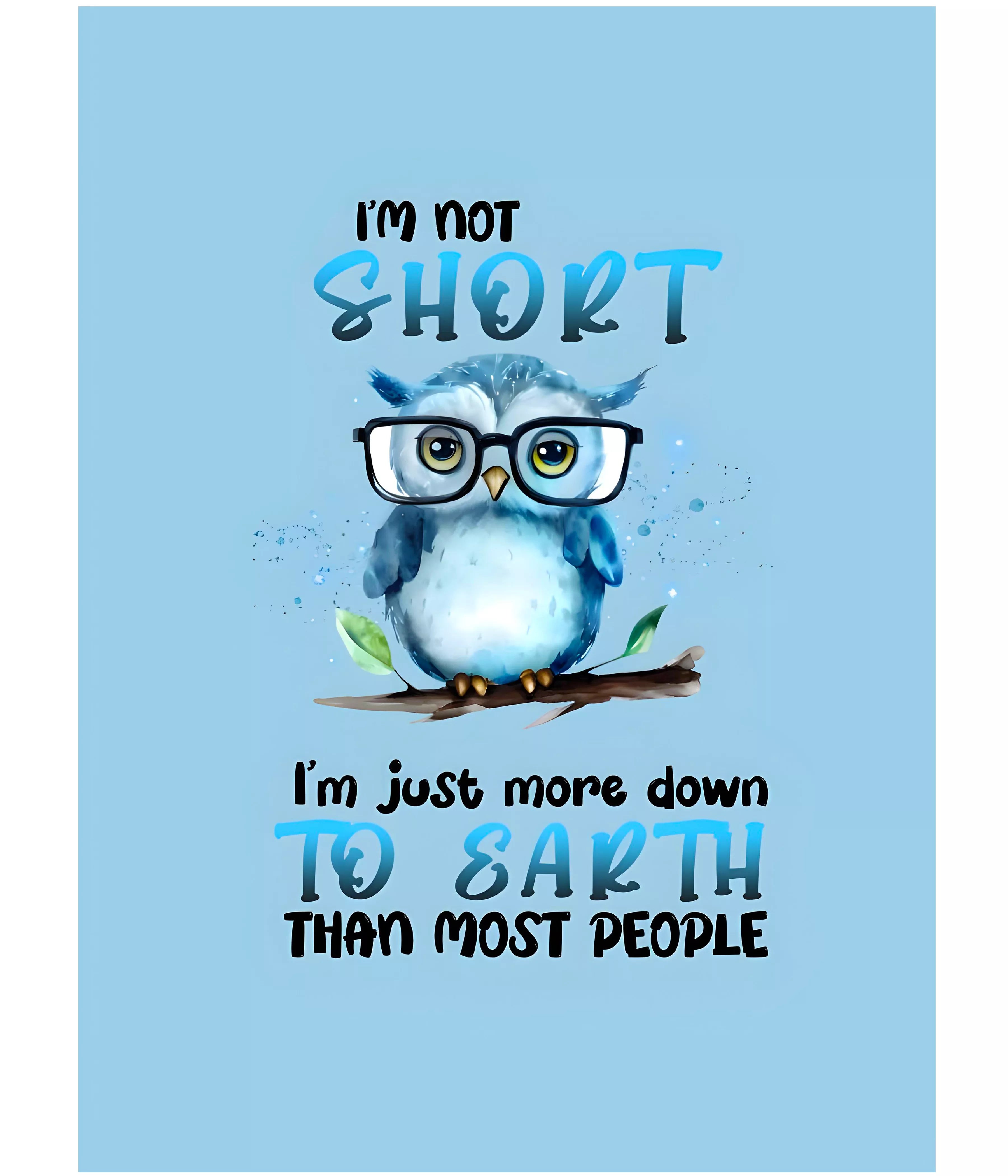 I’m Not Short – Funny Owl Wall Poster Main Image - Everanta